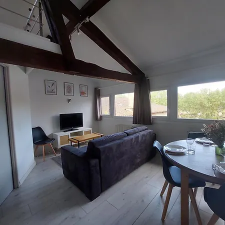 Appt Lumineux, Vue Place Vival Figeac